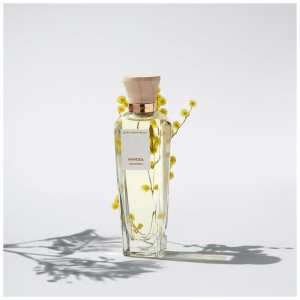 Agua Fresca De Mimosa Coriandro Eau De Toilette Vaporizador 120 Ml