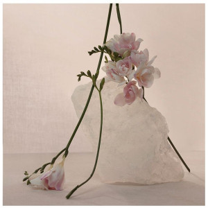 Nude Musk Eau De Parfum Vaporizador 60 Ml