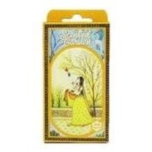 Radhe Shyam Incienso Cono Eucalipto 15Uds