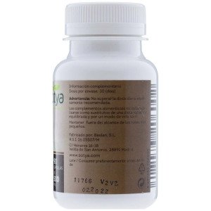 Sotya Reishi 500Mg 90Cáps