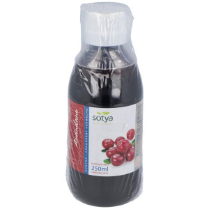Arandano Rojo Concentrado 250ml - Sotya