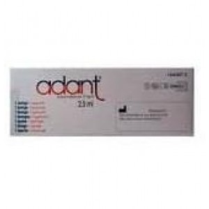 Adant Jeringa Precargada - Hialuronato Sodico (1 Unidad 2,5 Ml)