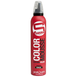 Vida Postquam Espuma Color Ceniza 300Ml