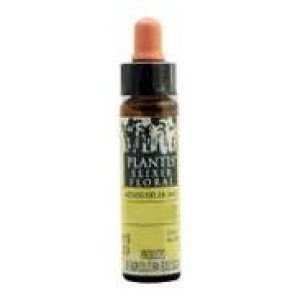 Cherry Plum Plantis Flores De Bach Nº 06 10Ml.