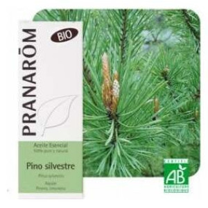 Pino Silvestre Aceite Esencial Bio 10Ml.