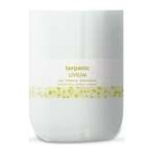 Terpenic Livium Gel Piernas Cansadas Evo Pro 1000Ml