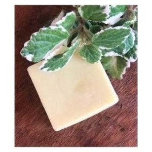 Nitx Acondicionador Sólido Cabello Fino 55G