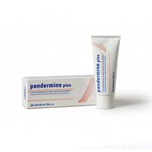 Pandermine Pies Cuidado del Pie Diabético, 100 ml. - Viñas