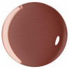 Fast Gel Nail Lacquer 14-Smoky Rose