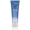 Moisture Recovery Conditioner 250 Ml