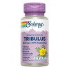 Tribulus 60Cap.