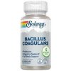 Bacillus Coagulans 60Cap.Veg