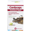 Cordyceps 60Cap.