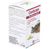 Cordyceps 60Cap.