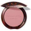 Terracotta Blush Colorete Efecto Buena Cara 00 1 U