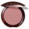 Terracotta Blush Colorete Efecto Buena Cara 01 1 U