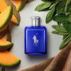 Polo Blue Eau De Toilette Vaporizador 125 Ml