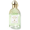 Aqua Allegoria Rosa Verde Edt Vapo 75 Ml