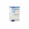 Visiobiane Protect (36 Capsulas)