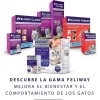 Feliway Difusor + Recambio 48Ml 1Mes