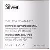 Silver Champú 300 Ml