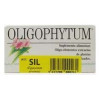 Oligophytum Silicio 100Gra