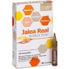 Arkoreal Jalea Real Intelectum Qi (10 Ampollas)