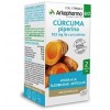 Curcuma Arkopharma (45 Capsulas)