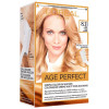 L'Oreal Set Excellence Age Perfect Hair Color 831 Golden Blonde