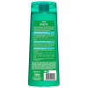 Garnier Fructis Pure Fresh Agua Coco Champú Fortificante 360Ml