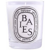 Diptyque Scented Candle Baies 190G