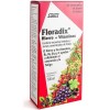 Floradix Elixir (1 Envase 250 Ml)