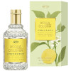 Acqua Colonia Lemon Y Ginger Eau De Cologne Splash Y Spray 50 Ml