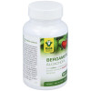 Raab Vitalfood Bergamota-Alcachofa 100Caps