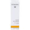 Dr. Hauschka Crema De Dia De Cydonia 30G