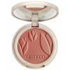 Silky Powder Blush Terracotta Cheeks