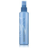 Sebastian Shine Define Spray Brillo Fijación 200Ml