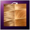Wella Color Perfect 7 100% Cobertura De Canas 8/0-Rubio Claro 6 U