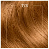 Wella Color Perfect 7 100% Cobertura De Canas 7/3-Rubio Avellana 6 U