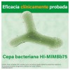 Kijimea® Colon Irritable PRO, 14 Caps. - Perrigo