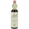 Flores De Bach (03) Beech 20 Ml