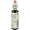 Flores Bach Centaury Centaura Menor 20Ml.