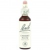 Flores Bach Cherry Plum Cerasifera 20Ml.