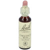 Flores Bach Chestnut Bud Brote Castaño 20Ml.