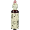 Flores Bach Chestnut Bud Brote Castaño 20Ml.