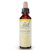 Flores Bach Gentian Genciana 20Ml.
