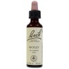 Flores De Bach (15) Holly 20 Ml