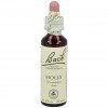 Flores De Bach (15) Holly 20 Ml