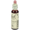 Flores Bach Hornbeam Hojarazo 20Ml.