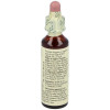 Flores Bach Hornbeam Hojarazo 20Ml.